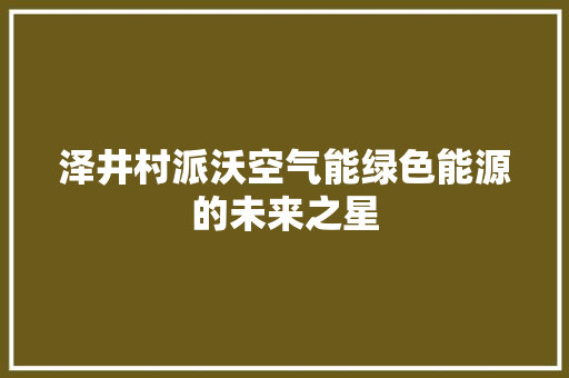 泽井村派沃空气能绿色能源的未来之星