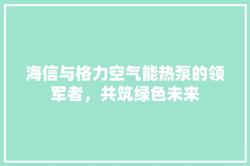 海信与格力空气能热泵的领军者，共筑绿色未来 综合便民