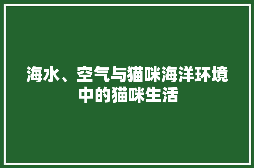 海水、空气与猫咪海洋环境中的猫咪生活 厨房维修