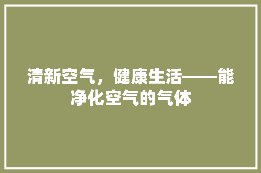 清新空气，健康生活——能净化空气的气体