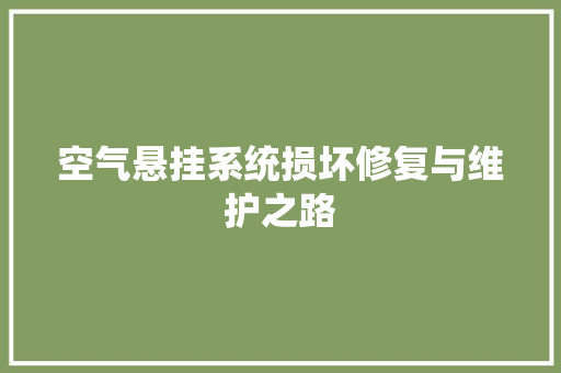 空气悬挂系统损坏修复与维护之路