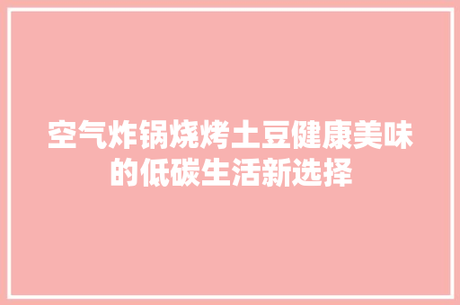 空气炸锅烧烤土豆健康美味的低碳生活新选择 家电维修