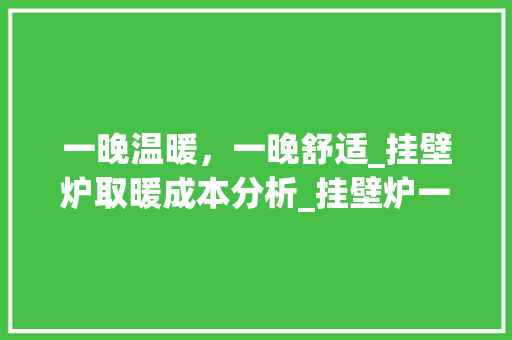 一晚温暖，一晚舒适_挂壁炉取暖成本分析_挂壁炉一晚上多少钱 一晚温暖，一晚舒适_挂壁炉取暖成本分析_挂壁炉一晚上多少钱 家电维修