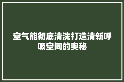空气能彻底清洗打造清新呼吸空间的奥秘