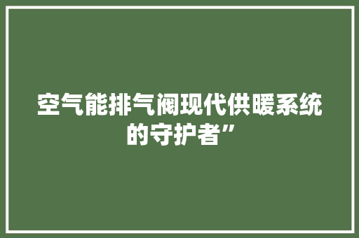空气能排气阀现代供暖系统的守护者” 墙体维修