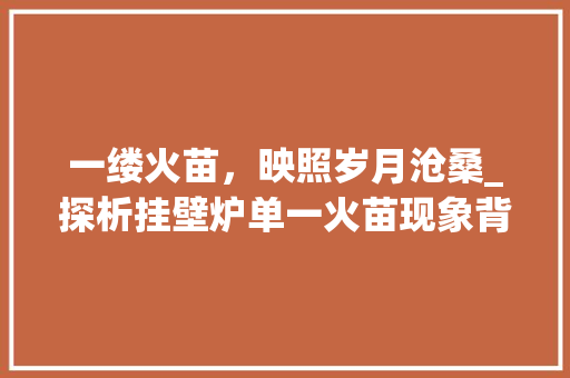 一缕火苗，映照岁月沧桑_探析挂壁炉单一火苗现象背后的文化内涵_挂壁炉显示只有一个火苗 一缕火苗，映照岁月沧桑_探析挂壁炉单一火苗现象背后的文化内涵_挂壁炉显示只有一个火苗 墙体维修