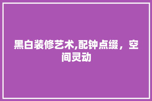 黑白装修艺术,配钟点缀，空间灵动 黑白装修艺术,配钟点缀，空间灵动 家电维修