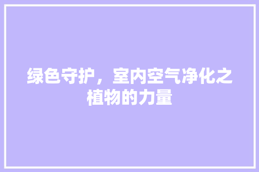 绿色守护，室内空气净化之植物的力量 墙体维修