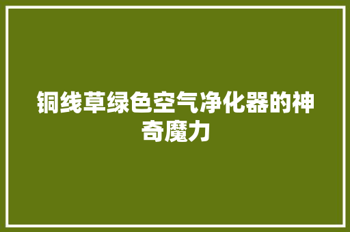 铜线草绿色空气净化器的神奇魔力 厨房维修