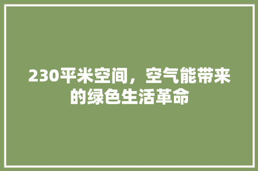 230平米空间，空气能带来的绿色生活革命 汽车维修