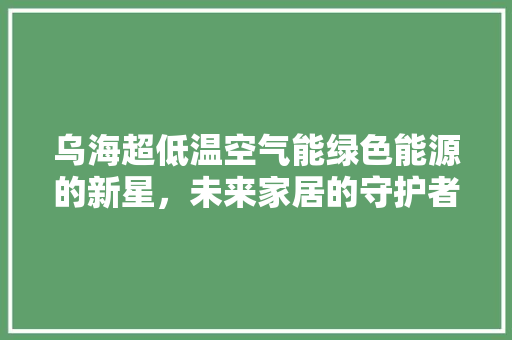 乌海超低温空气能绿色能源的新星，未来家居的守护者