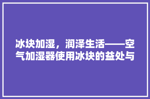 冰块加湿，润泽生活——空气加湿器使用冰块的益处与注意事项 家电维修