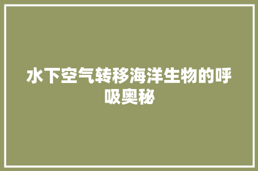 水下空气转移海洋生物的呼吸奥秘 墙体维修