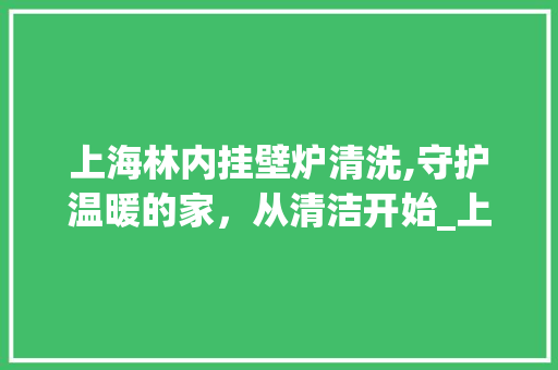 上海林内挂壁炉清洗,守护温暖的家，从清洁开始_上海林内挂壁炉清洗 上海林内挂壁炉清洗,守护温暖的家，从清洁开始_上海林内挂壁炉清洗 墙体维修