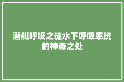 潜艇呼吸之谜水下呼吸系统的神奇之处
