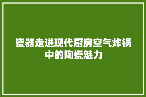 瓷器走进现代厨房空气炸锅中的陶瓷魅力 家电维修