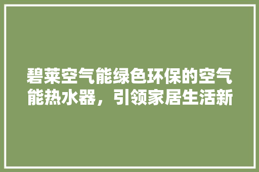 碧莱空气能绿色环保的空气能热水器，引领家居生活新风尚 墙体维修