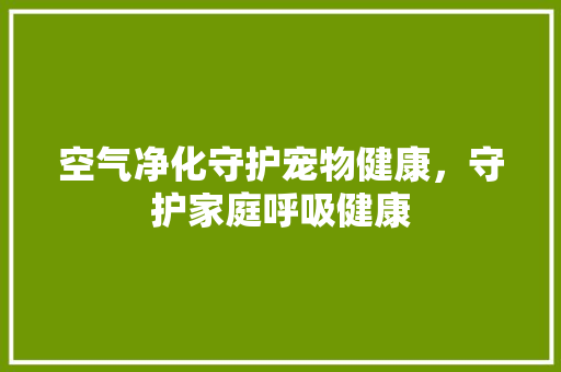 空气净化守护宠物健康，守护家庭呼吸健康 厨房维修