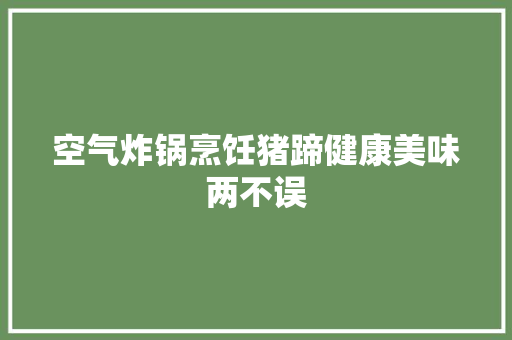 空气炸锅烹饪猪蹄健康美味两不误 厨房维修