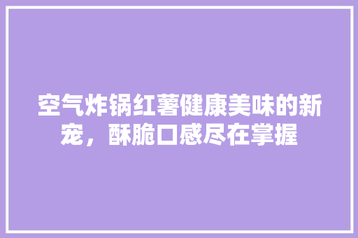 空气炸锅红薯健康美味的新宠，酥脆口感尽在掌握 家电维修