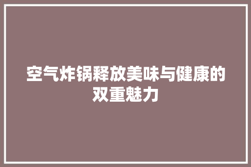 空气炸锅释放美味与健康的双重魅力 家电维修