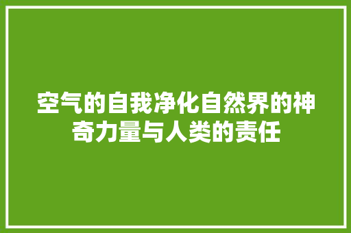 空气的自我净化自然界的神奇力量与人类的责任 墙体维修