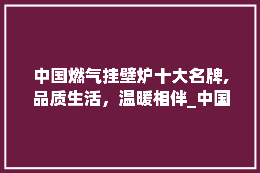 中国燃气挂壁炉十大名牌,品质生活，温暖相伴_中国燃气挂壁炉十大名牌 中国燃气挂壁炉十大名牌,品质生活，温暖相伴_中国燃气挂壁炉十大名牌 厨房维修