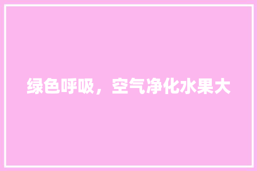 绿色呼吸，空气净化水果大