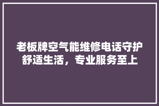 老板牌空气能维修电话守护舒适生活，专业服务至上