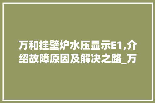 万和挂壁炉水压显示E1,介绍故障原因及解决之路_万和挂壁炉水压正常显示E1