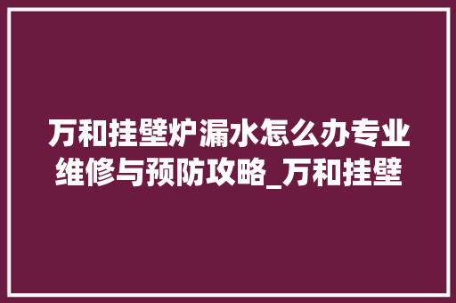 万和挂壁炉漏水怎么办专业维修与预防攻略_万和挂壁炉漏水怎么办 万和挂壁炉漏水怎么办专业维修与预防攻略_万和挂壁炉漏水怎么办 厨房维修