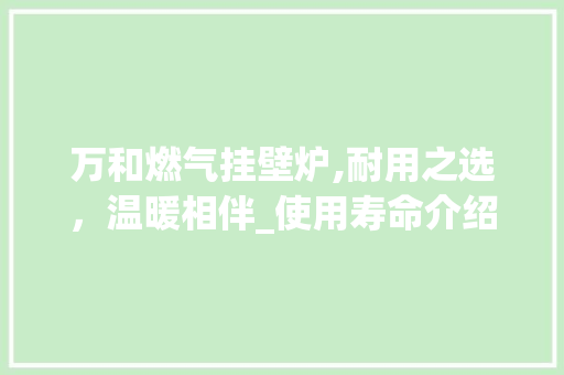万和燃气挂壁炉,耐用之选，温暖相伴_使用寿命介绍_万和燃气挂壁炉能用几年 万和燃气挂壁炉,耐用之选，温暖相伴_使用寿命介绍_万和燃气挂壁炉能用几年 家电维修