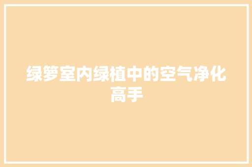 绿箩室内绿植中的空气净化高手 综合便民