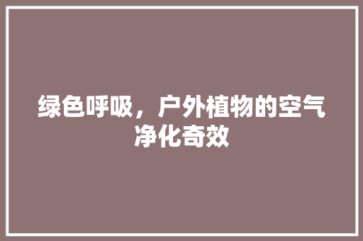绿色呼吸，户外植物的空气净化奇效