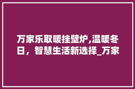 万家乐取暖挂壁炉,温暖冬日，智慧生活新选择_万家乐取暖挂壁炉