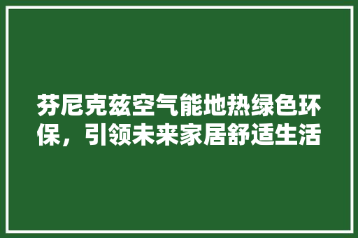 芬尼克兹空气能地热绿色环保，引领未来家居舒适生活