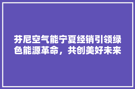 芬尼空气能宁夏经销引领绿色能源革命，共创美好未来