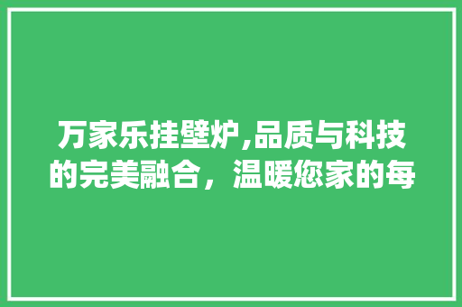万家乐挂壁炉,品质与科技的完美融合，温暖您家的每个角落_万家乐挂壁炉怎么样 万家乐挂壁炉,品质与科技的完美融合，温暖您家的每个角落_万家乐挂壁炉怎么样 综合便民