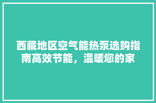 西藏地区空气能热泵选购指南高效节能，温暖您的家 厨房维修