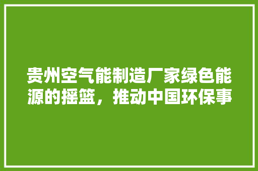 贵州空气能制造厂家绿色能源的摇篮，推动中国环保事业蓬勃发展 厨房维修