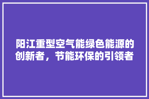 阳江重型空气能绿色能源的创新者，节能环保的引领者 家电维修