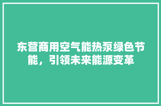 东营商用空气能热泵绿色节能，引领未来能源变革 汽车维修