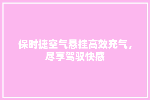 保时捷空气悬挂高效充气，尽享驾驭快感