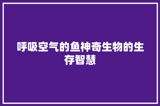 呼吸空气的鱼神奇生物的生存智慧 综合便民