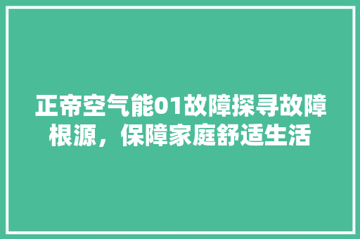 正帝空气能01故障探寻故障根源，保障家庭舒适生活