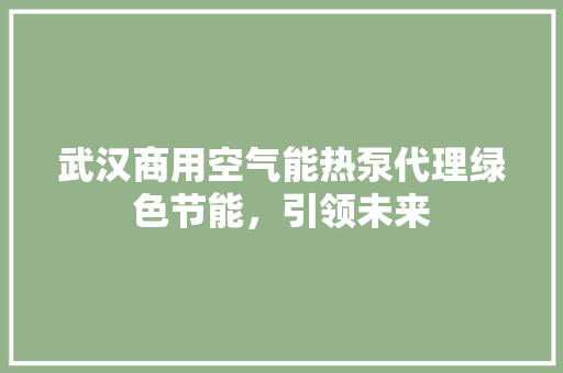 武汉商用空气能热泵代理绿色节能，引领未来
