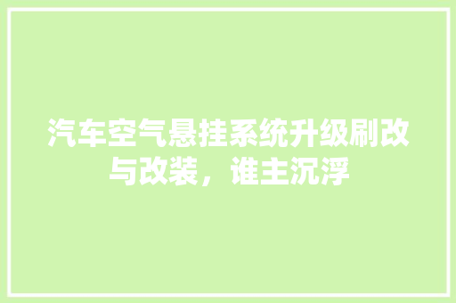 汽车空气悬挂系统升级刷改与改装，谁主沉浮