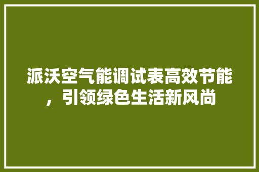 派沃空气能调试表高效节能，引领绿色生活新风尚
