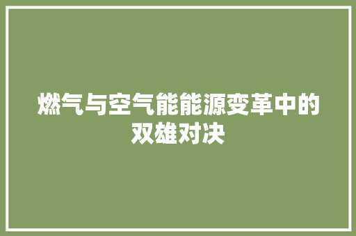 燃气与空气能能源变革中的双雄对决