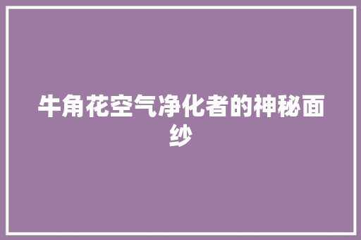 牛角花空气净化者的神秘面纱
